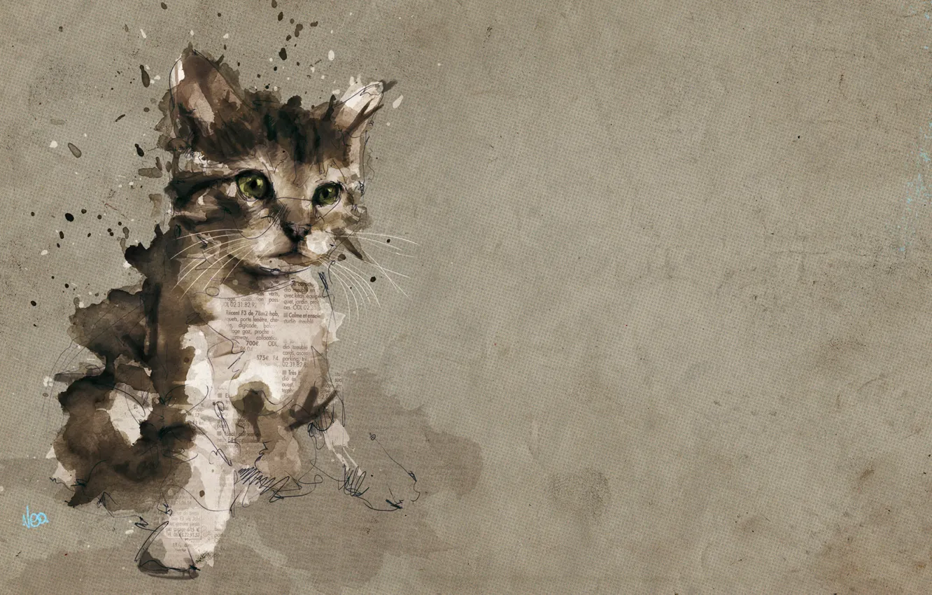 Photo wallpaper grey, figure, kitty