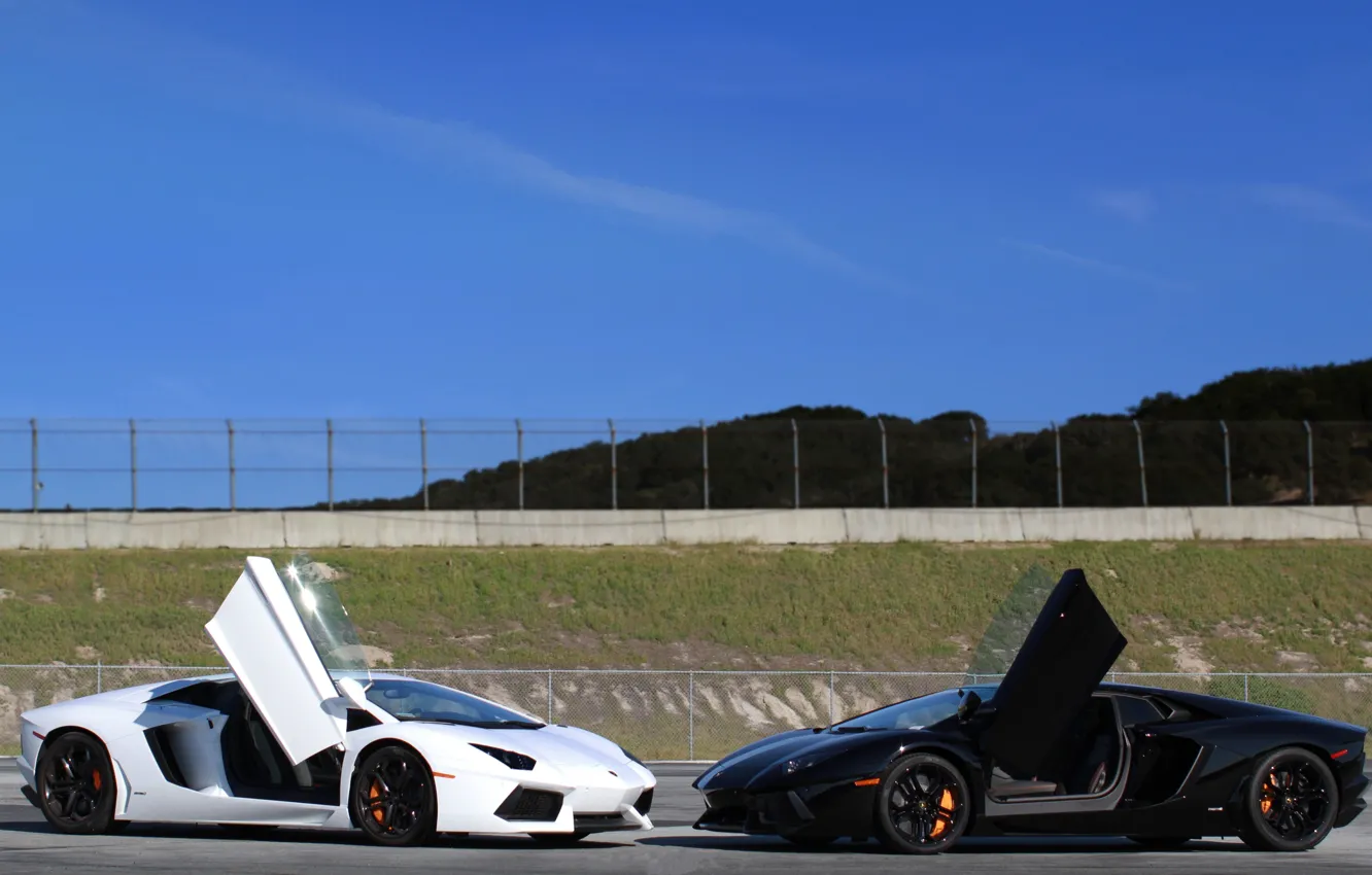 Photo wallpaper white, the sky, red, white, lamborghini, black, aventador, lp700-4