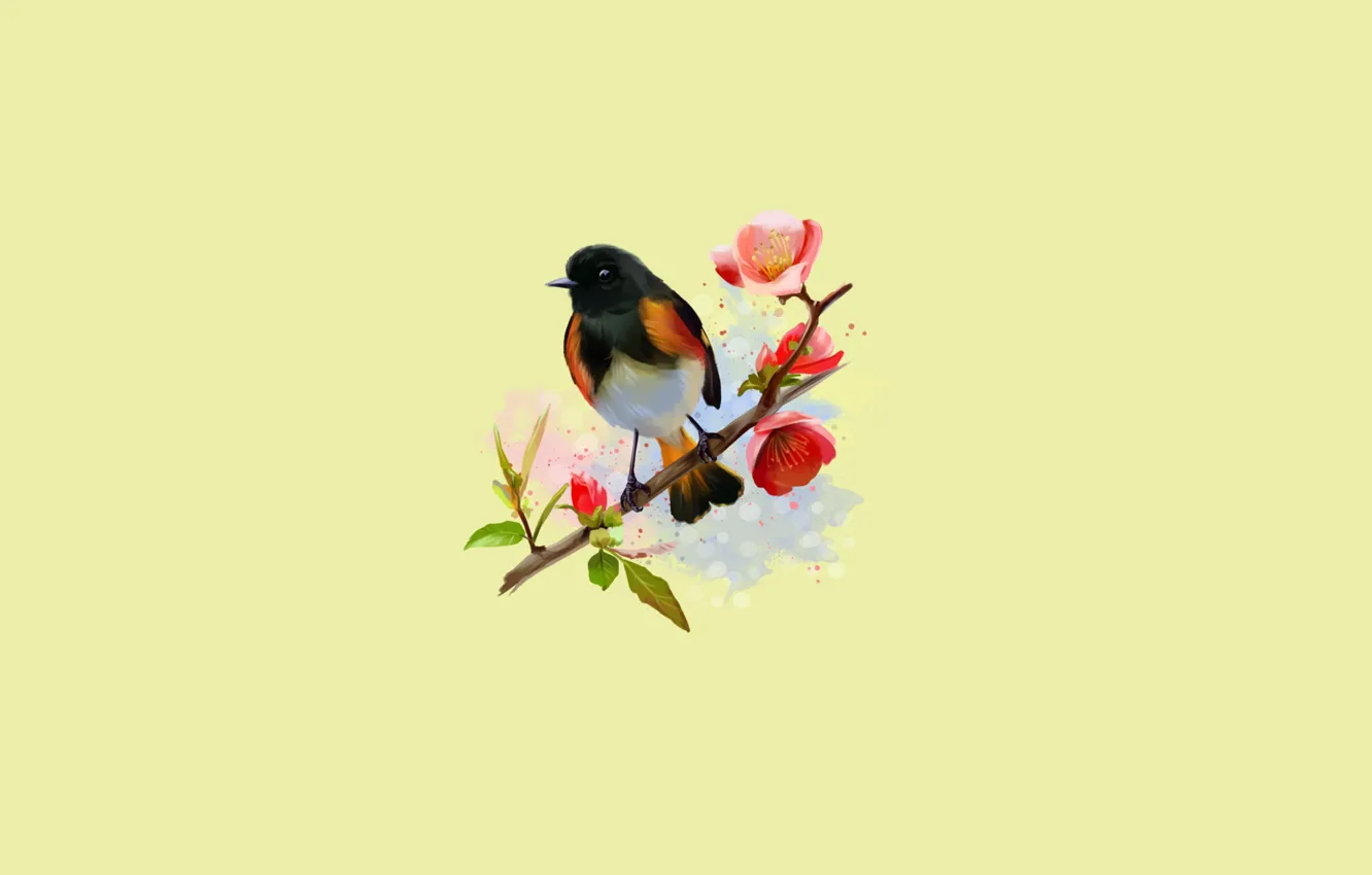 Photo wallpaper bird, branch, flowering, little