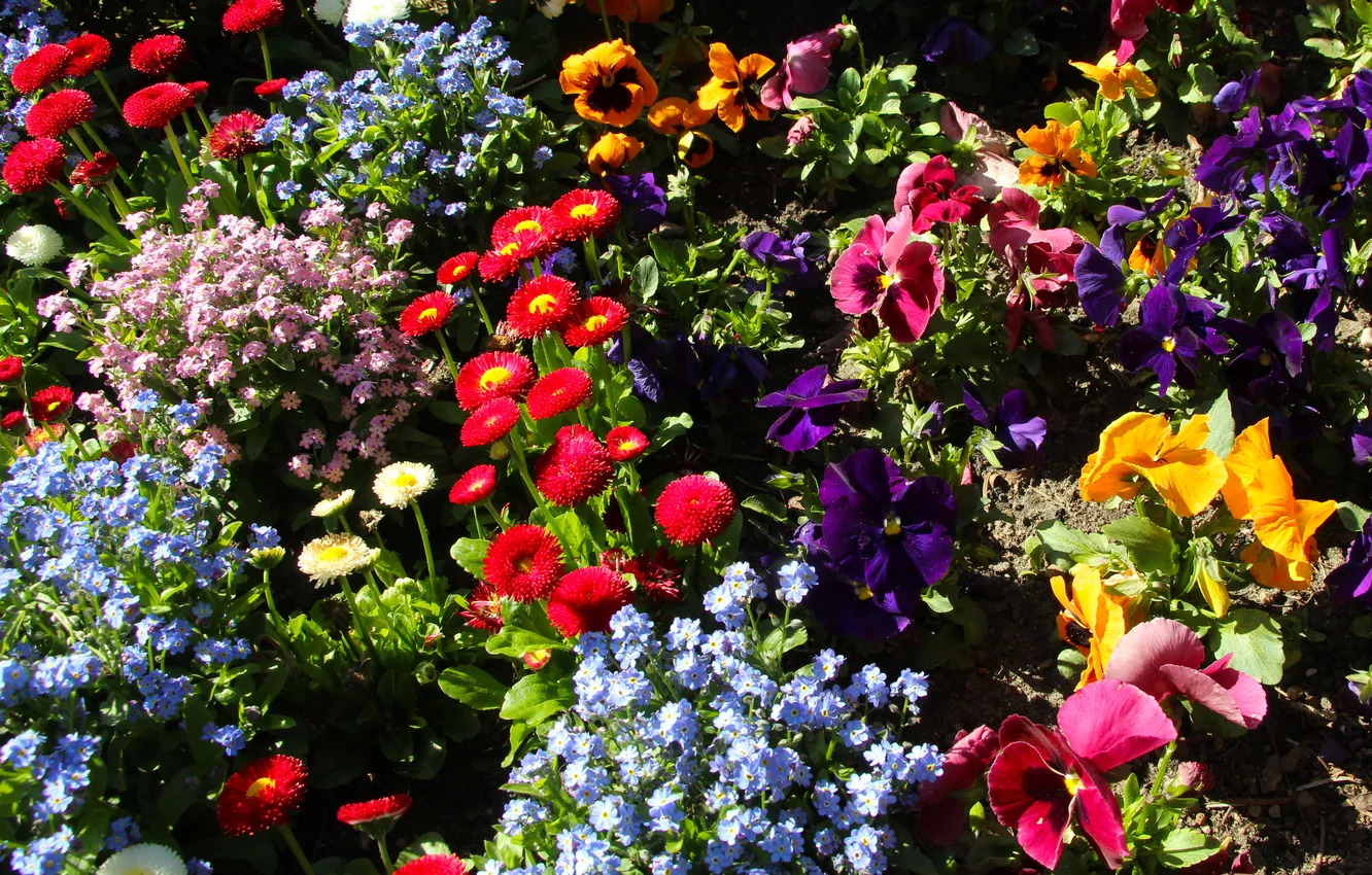 Photo wallpaper garden, spring, blooming