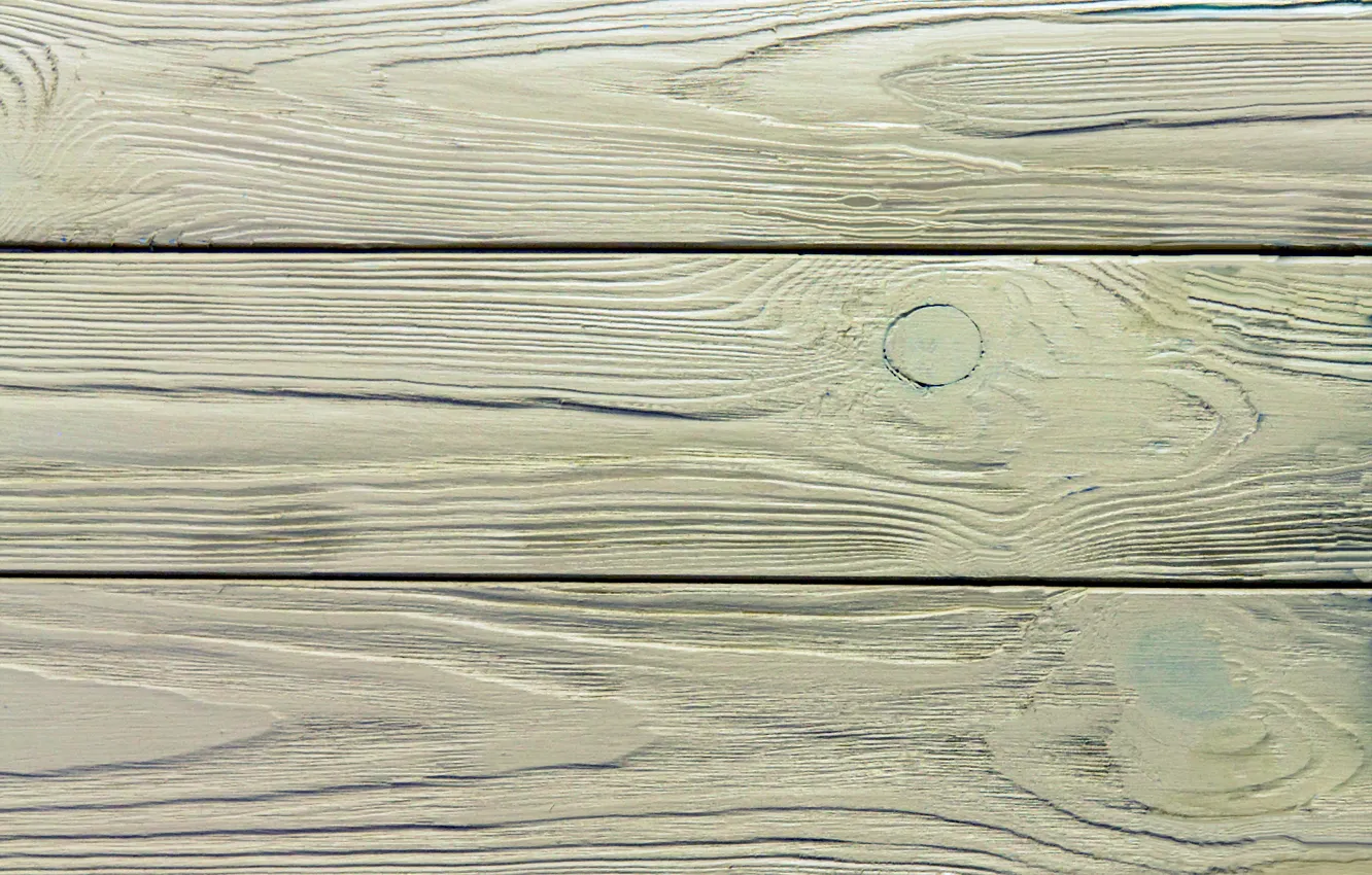 Photo wallpaper trees, structure, finish