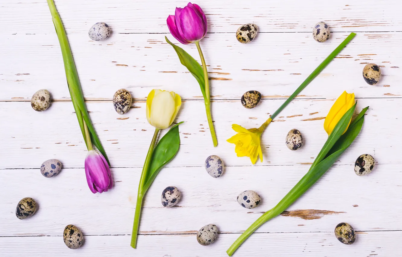 Photo wallpaper flowers, eggs, spring, colorful, Easter, flowers, tulips, spring