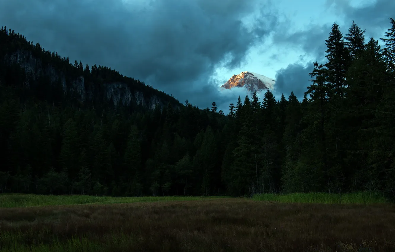 Photo wallpaper forest, landscape, mountains