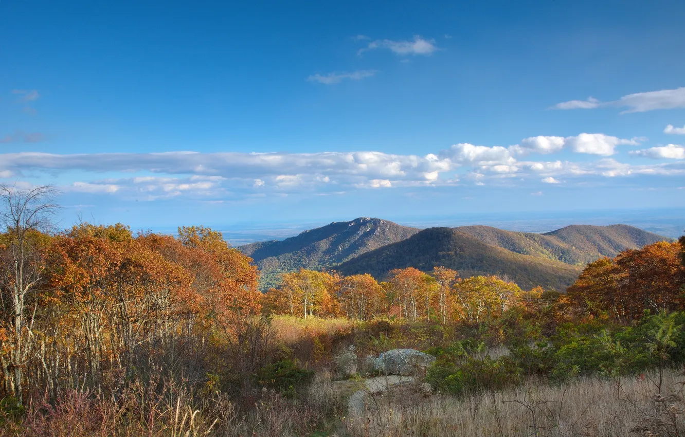 Photo wallpaper autumn, the sky, clouds, trees, mountains
