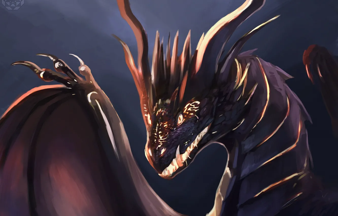 Photo wallpaper dragon, wings, claws
