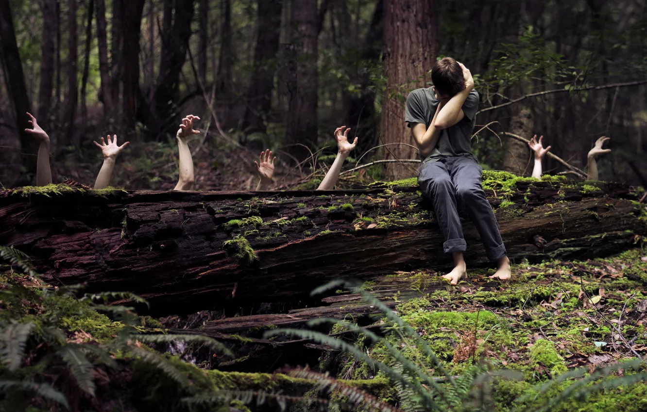 Photo wallpaper forest, the situation, hands, guy, fears
