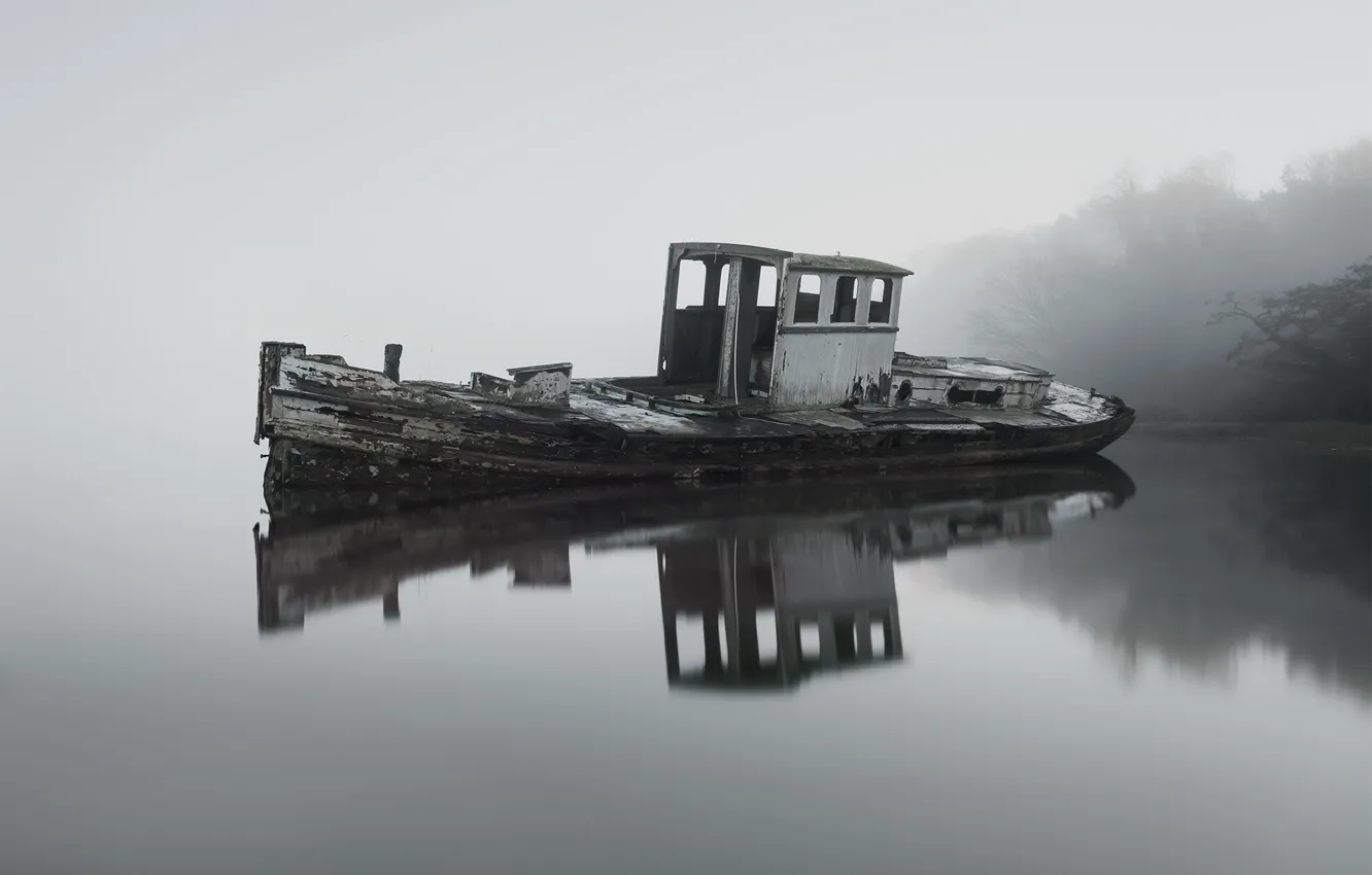 Photo wallpaper fog, lake, boat, the evening
