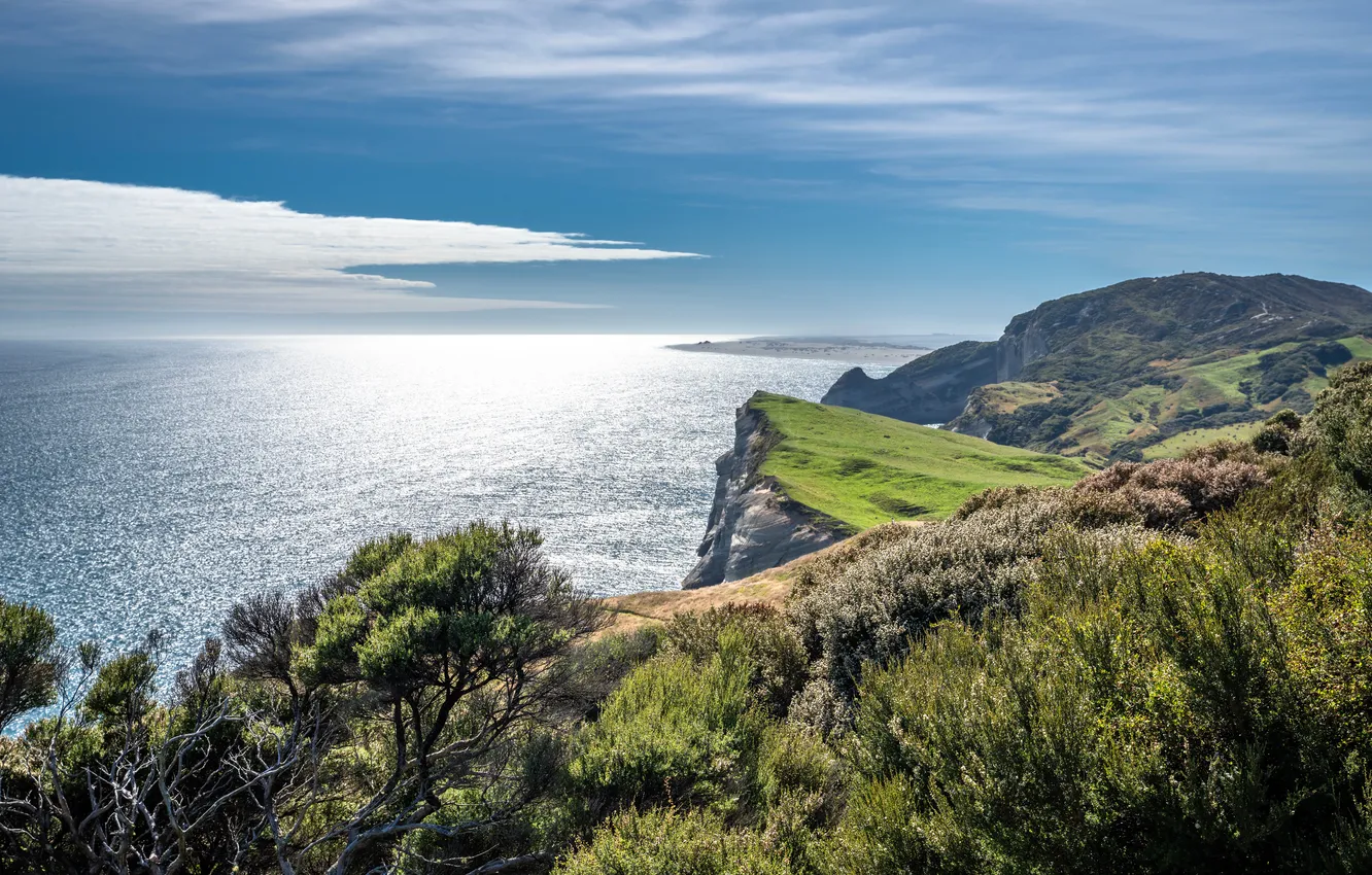 Photo wallpaper rocks, coast, New Zealand