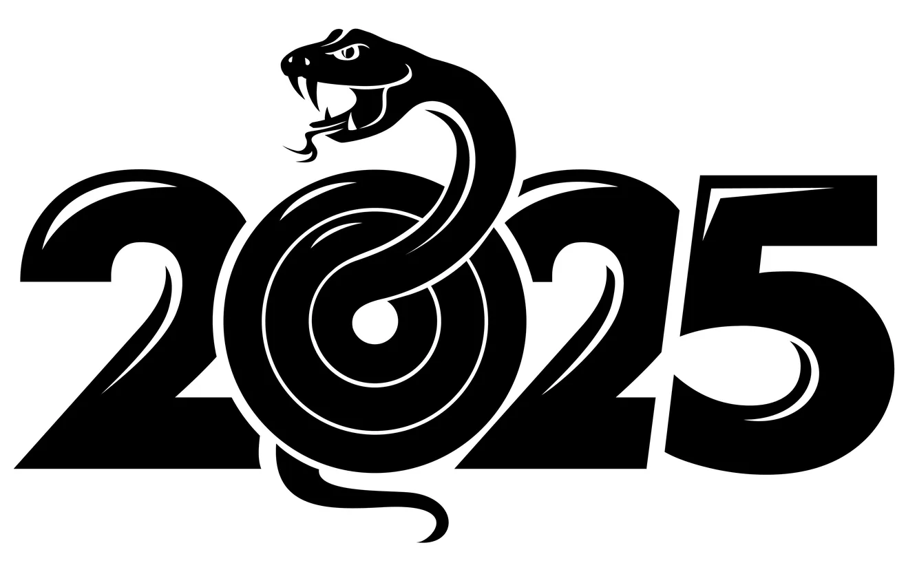 Photo wallpaper new year, snake, white background, black and white, date, the year of the snake, 2025, …