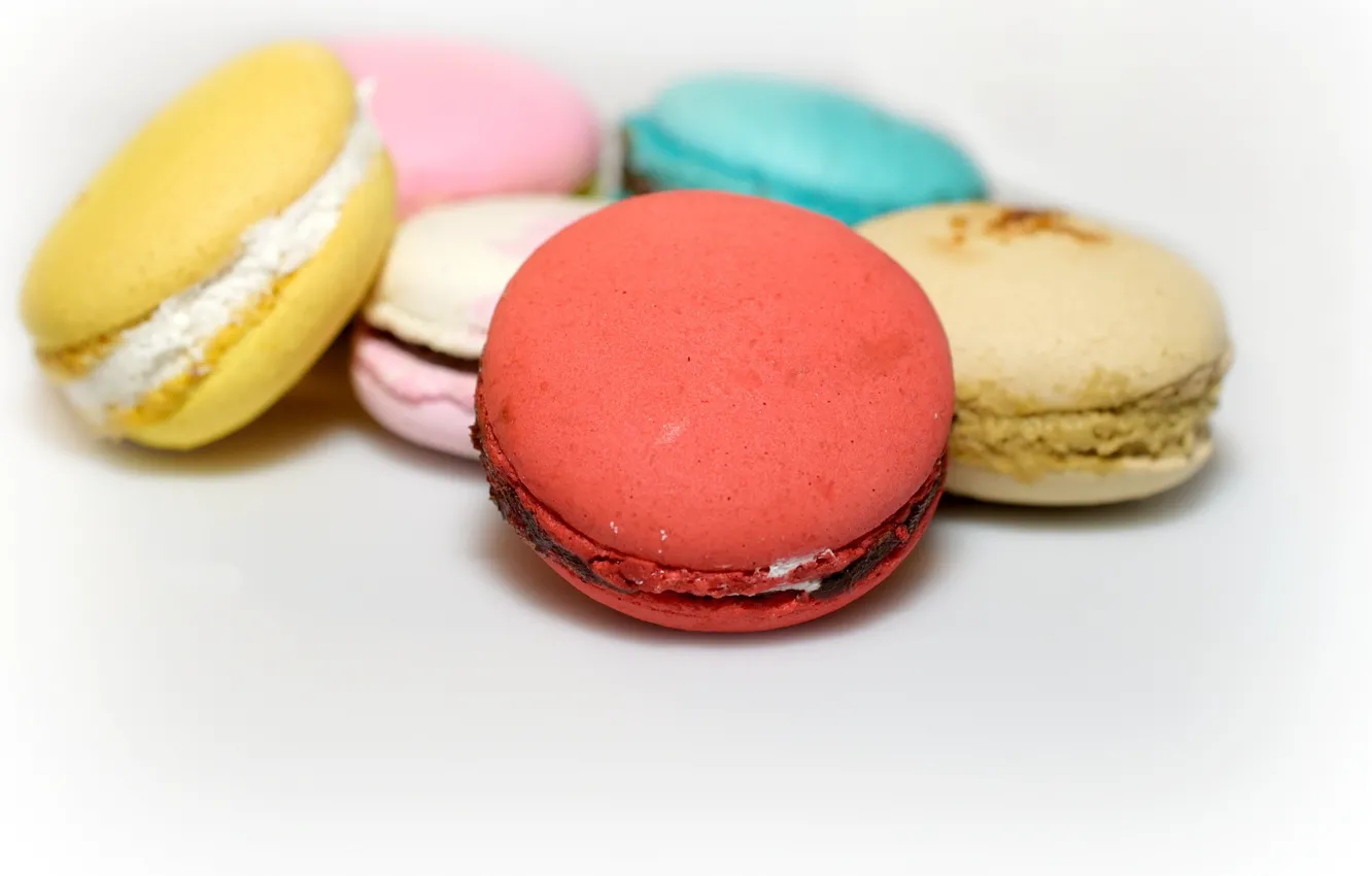 Photo wallpaper macro, colored, cookies, yummy