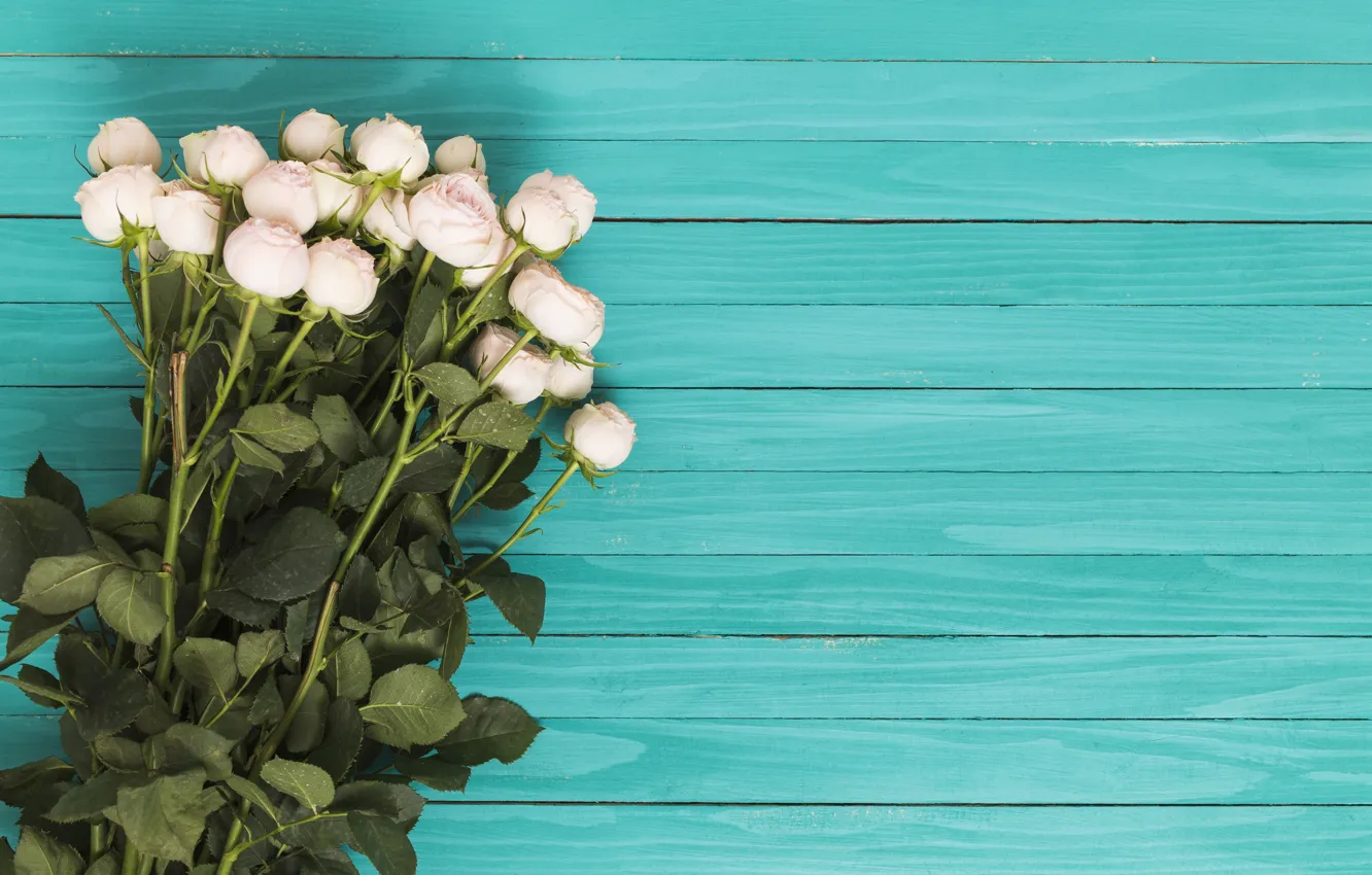 Wallpaper roses, bouquet, white, wood, Ana Lukenda images for desktop, section цветы download