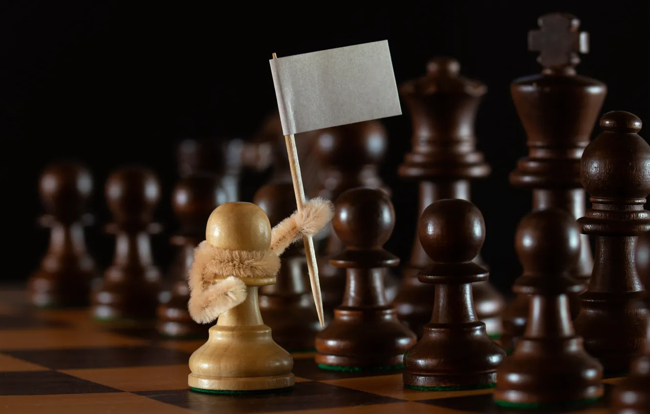 Photo wallpaper chess, pawns, white flag, surrender, the white pawn, Stems!