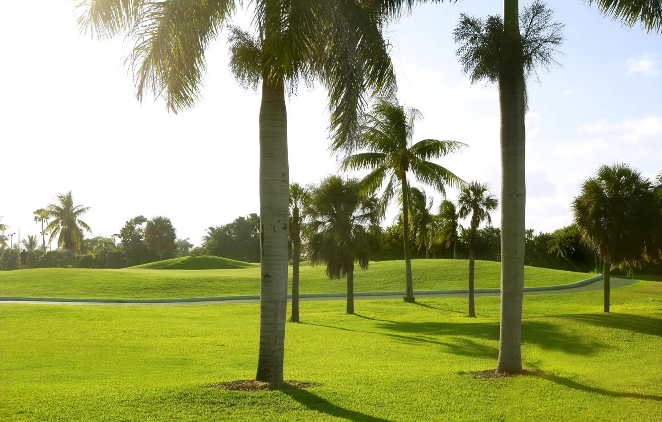 Photo wallpaper greens, the sun, palm trees, lawn, Miami, USA