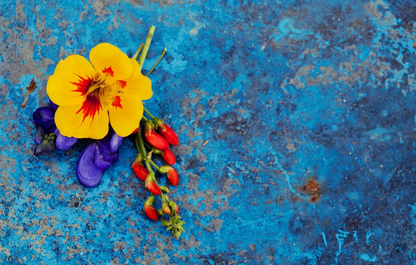 Photo wallpaper summer, flowers, blue, background