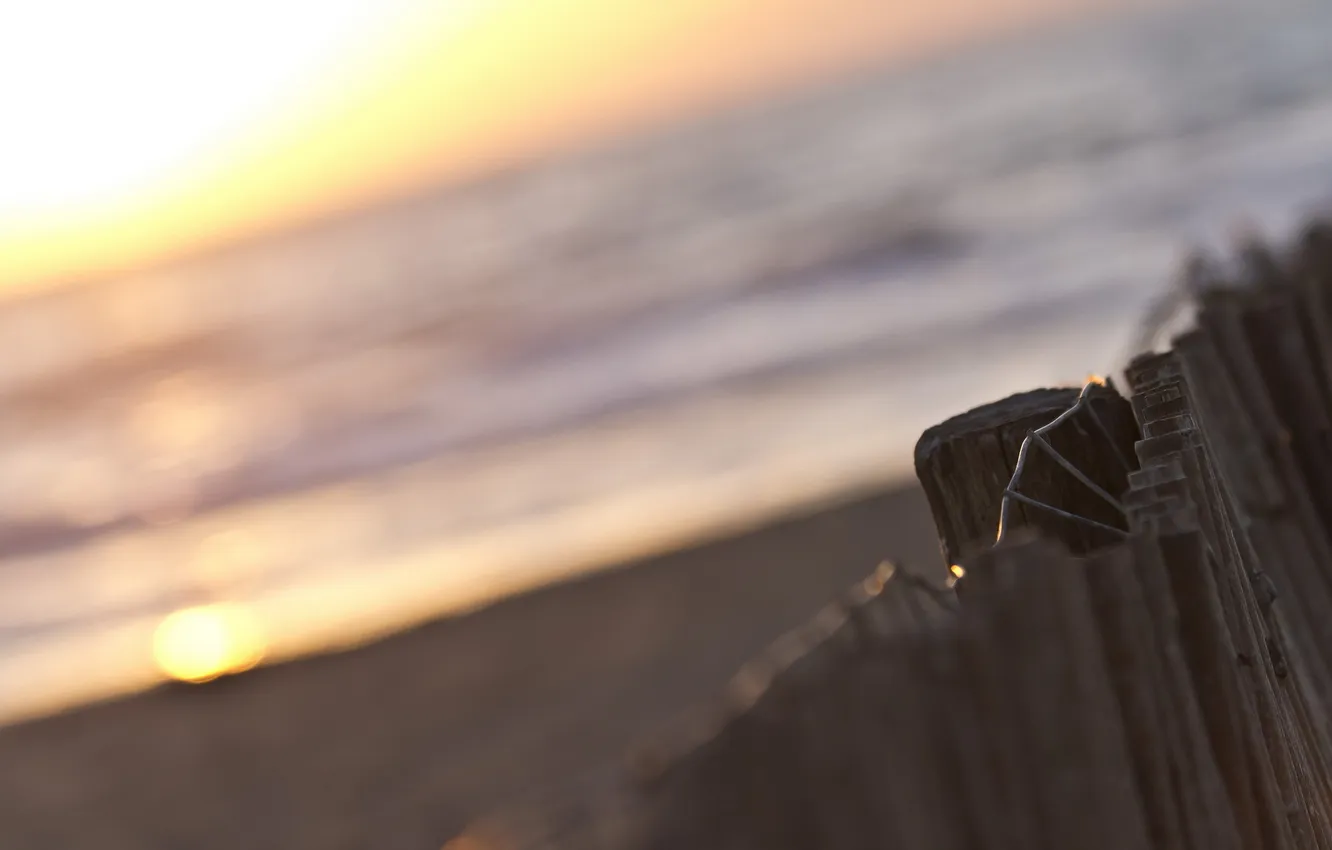 Photo wallpaper macro, background, the fence