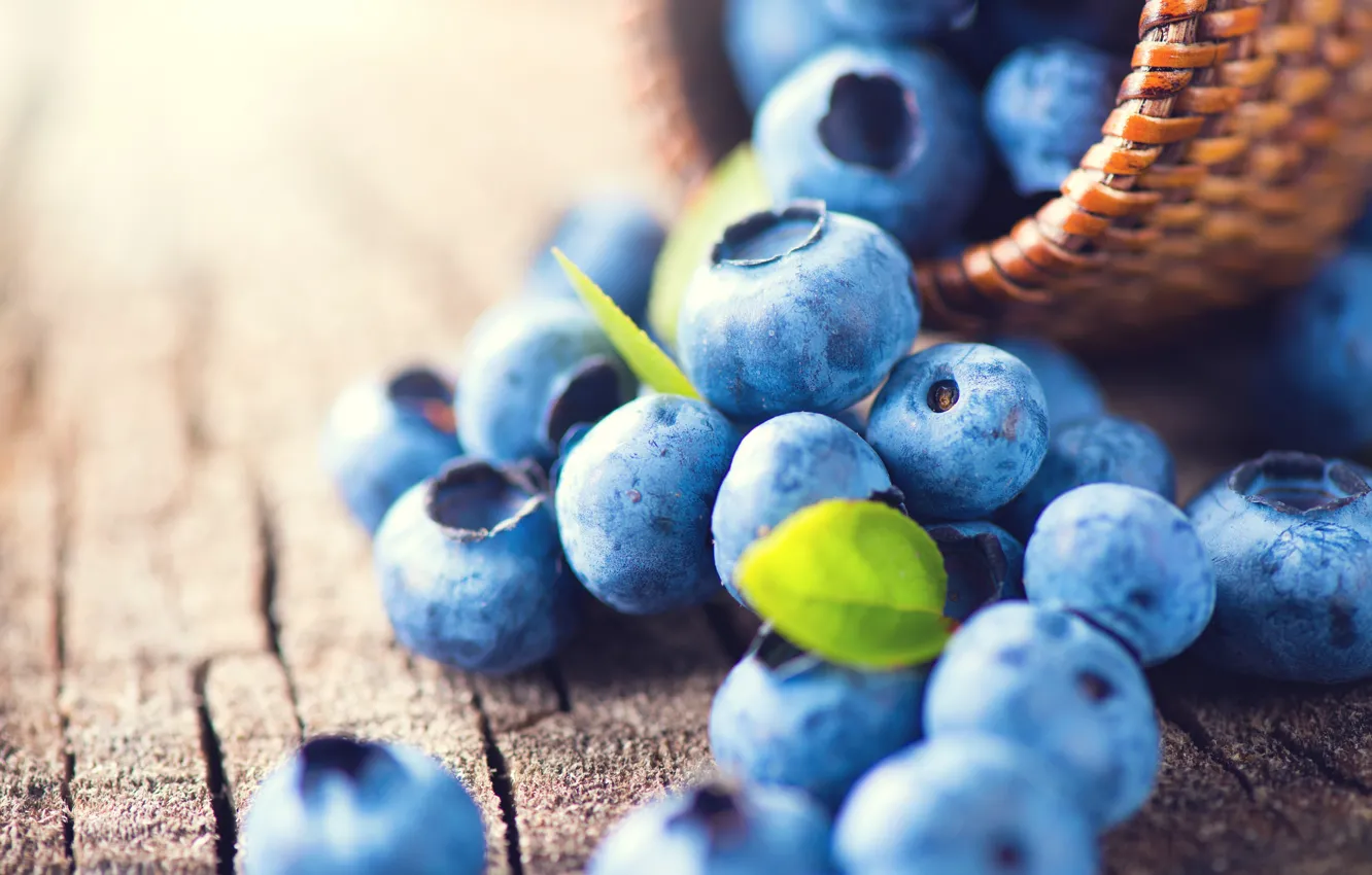 Photo wallpaper berries, blueberries, fresh, blueberry, berries