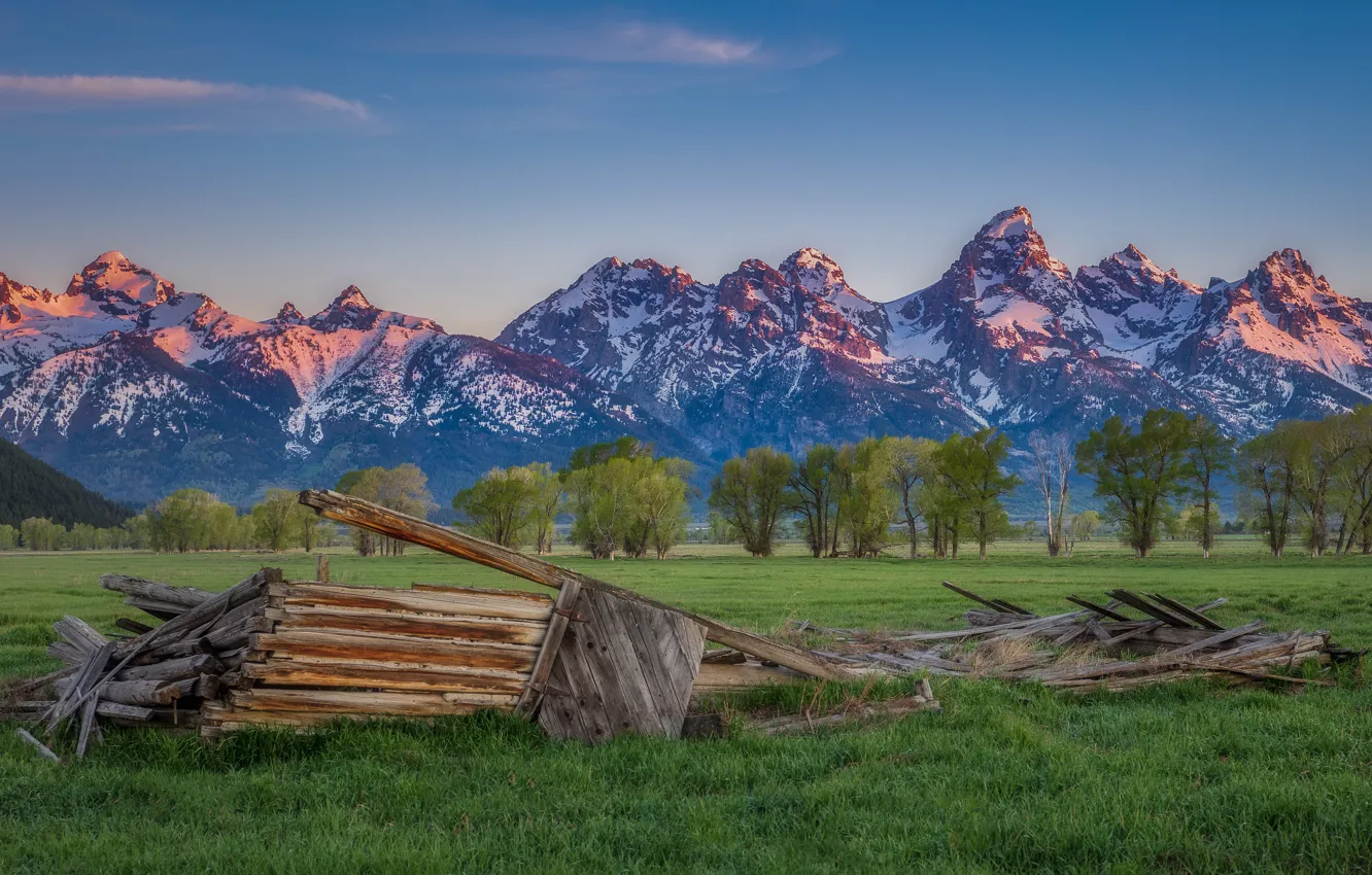 Photo wallpaper field, forest, summer, the sky, grass, snow, trees, mountains