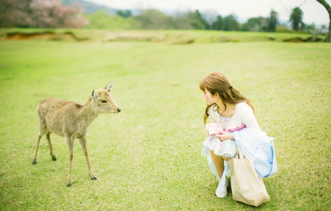 Photo wallpaper woman, model, asian, deer, japanese, outdoor