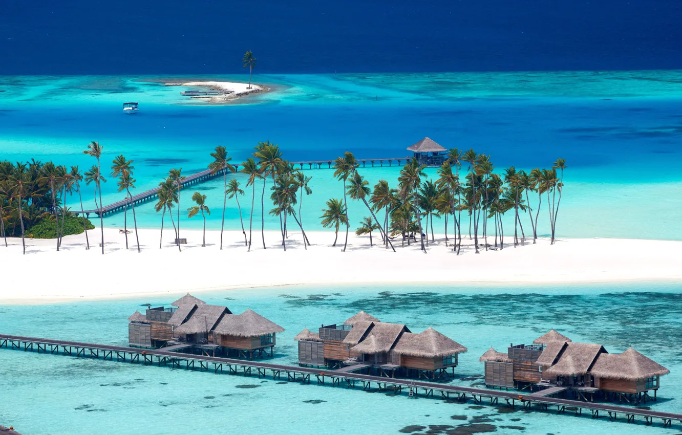 Photo wallpaper beach, tropics, palm trees, the ocean, island, resort