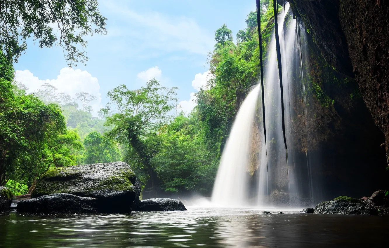 Photo wallpaper greens, forest, trees, tropics, stones, rocks, waterfall, jungle