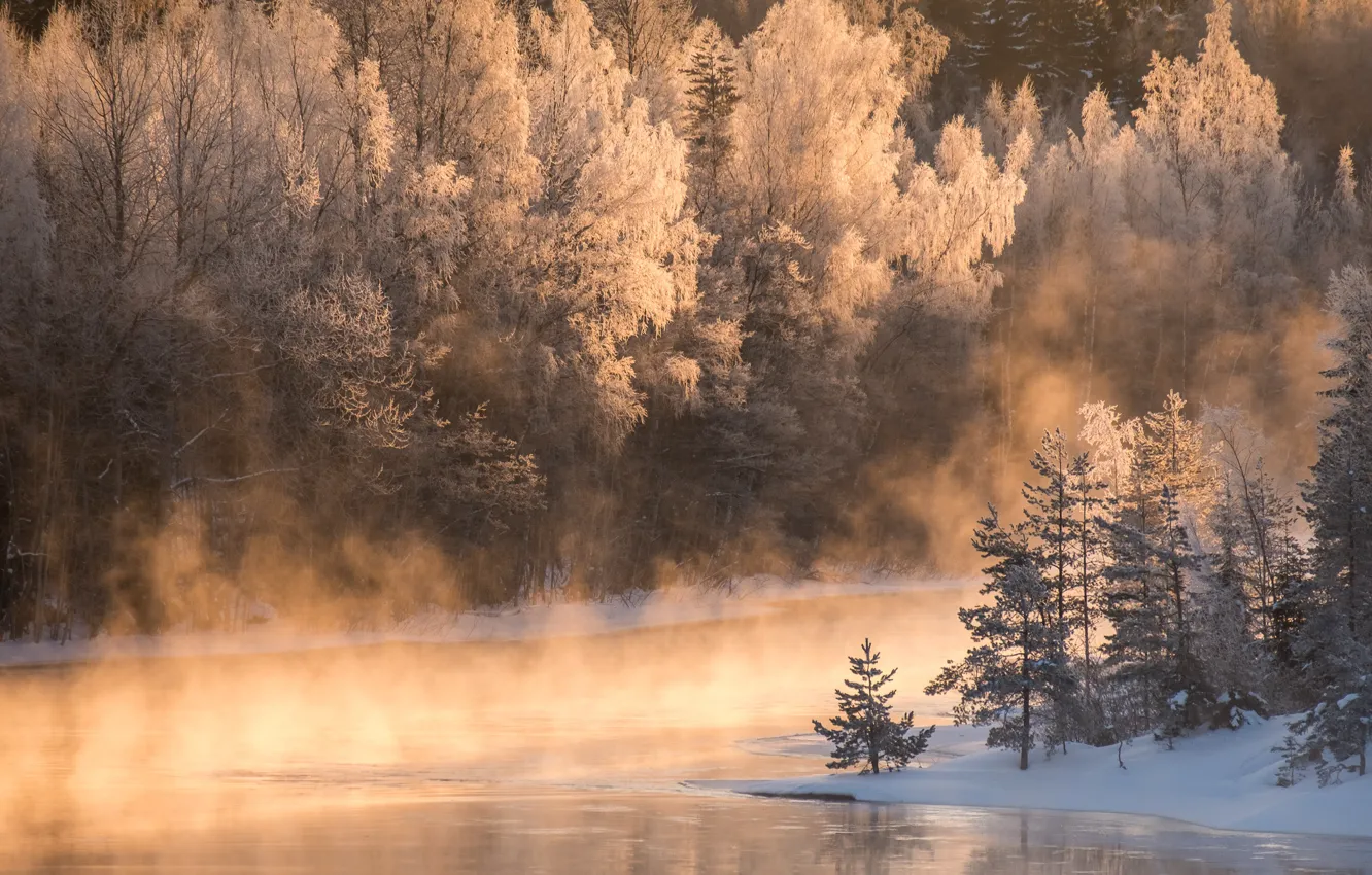 Photo wallpaper winter, forest, river, morning