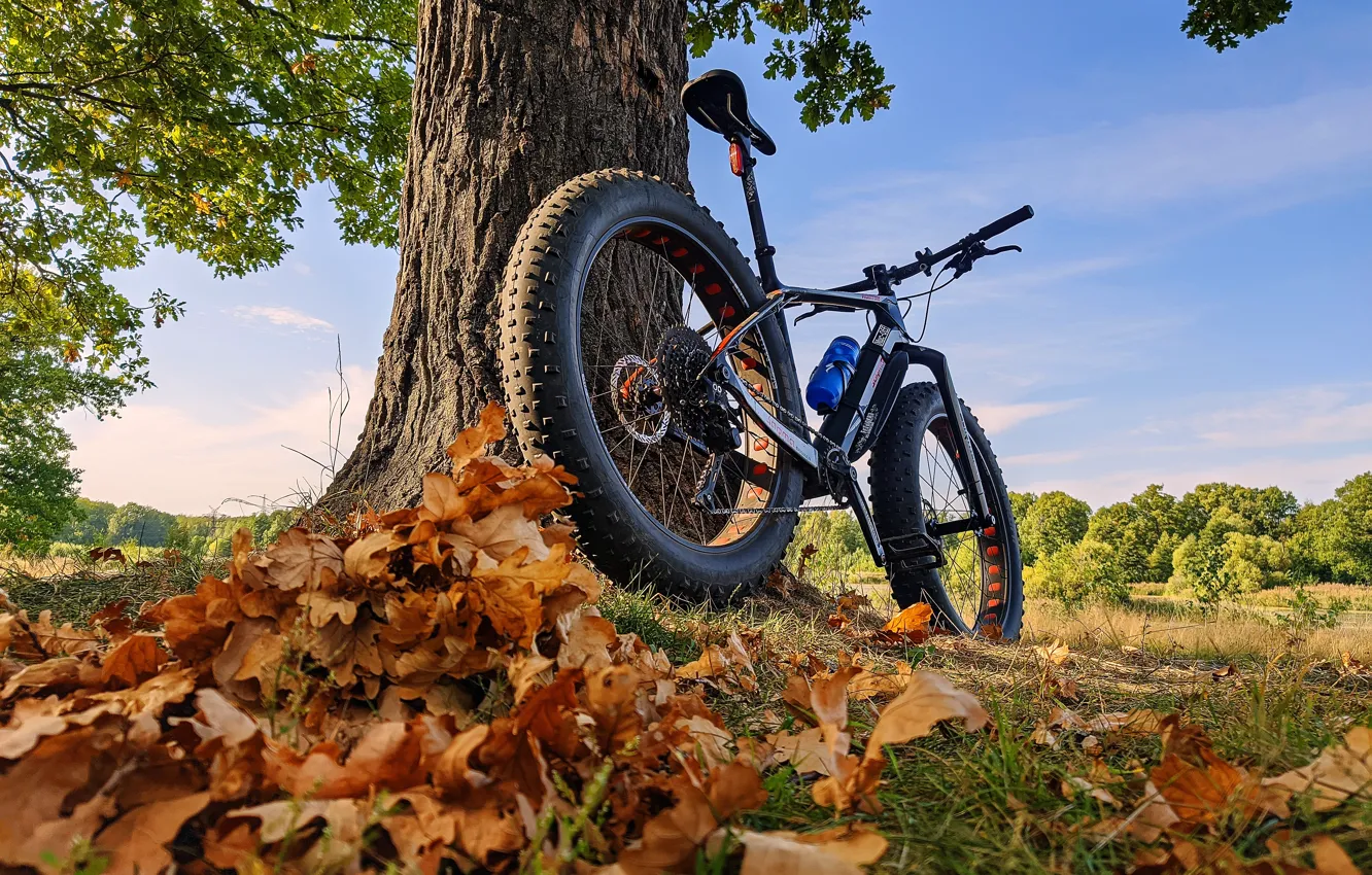 Photo wallpaper autumn, leaves, landscape, nature, bike, sport, fat, fat