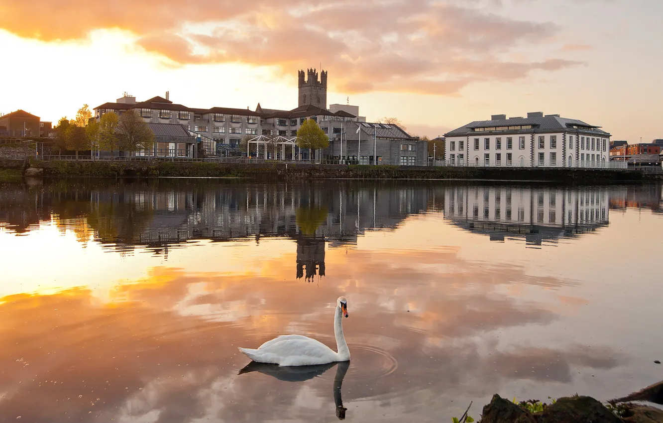 Photo wallpaper clouds, sunset, reflection, castle, dawn, bird, shore, building