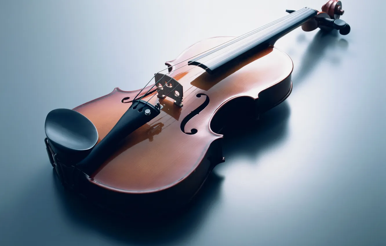 Photo wallpaper music, violin, strings, musical instruments