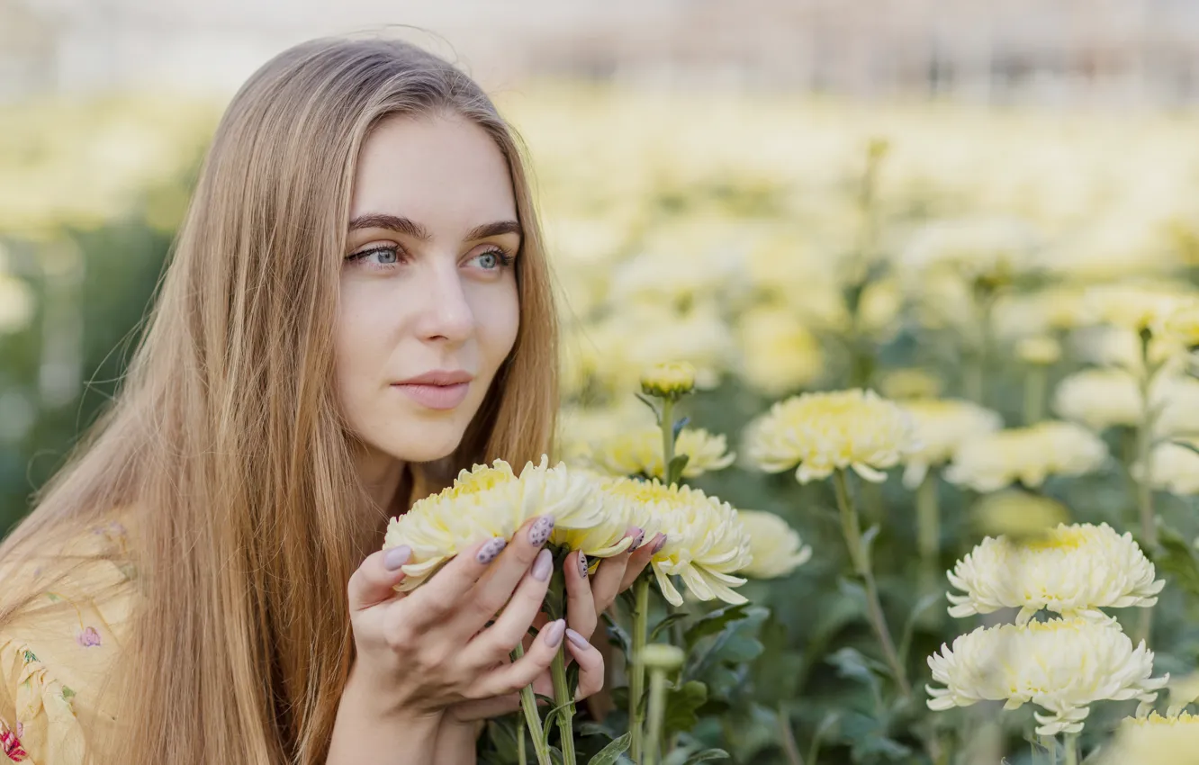 Wallpaper Field, Girl, Flowers For Mobile And Desktop, Section девушки 