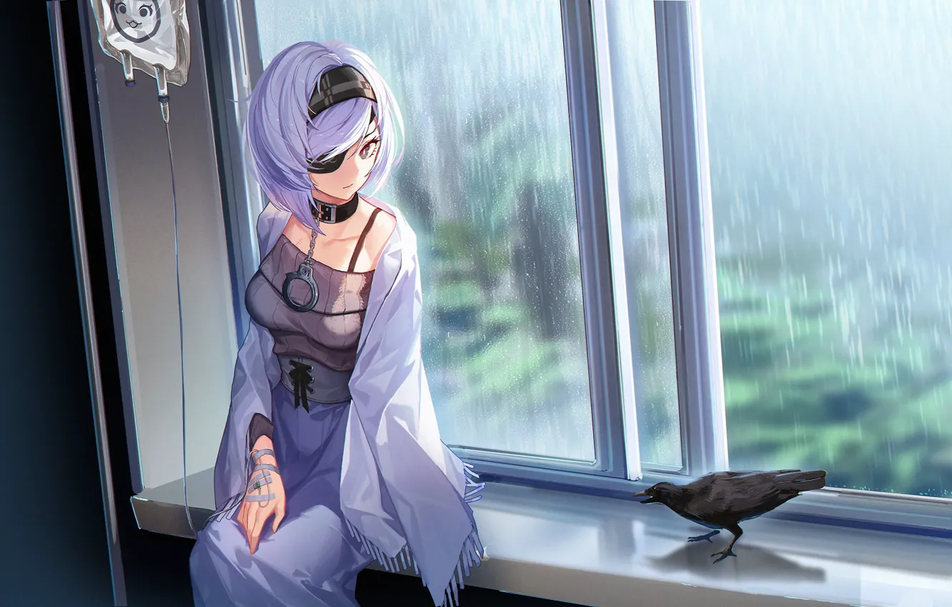 Photo wallpaper girl, anime, window, art, crow, doitsu no kagaku