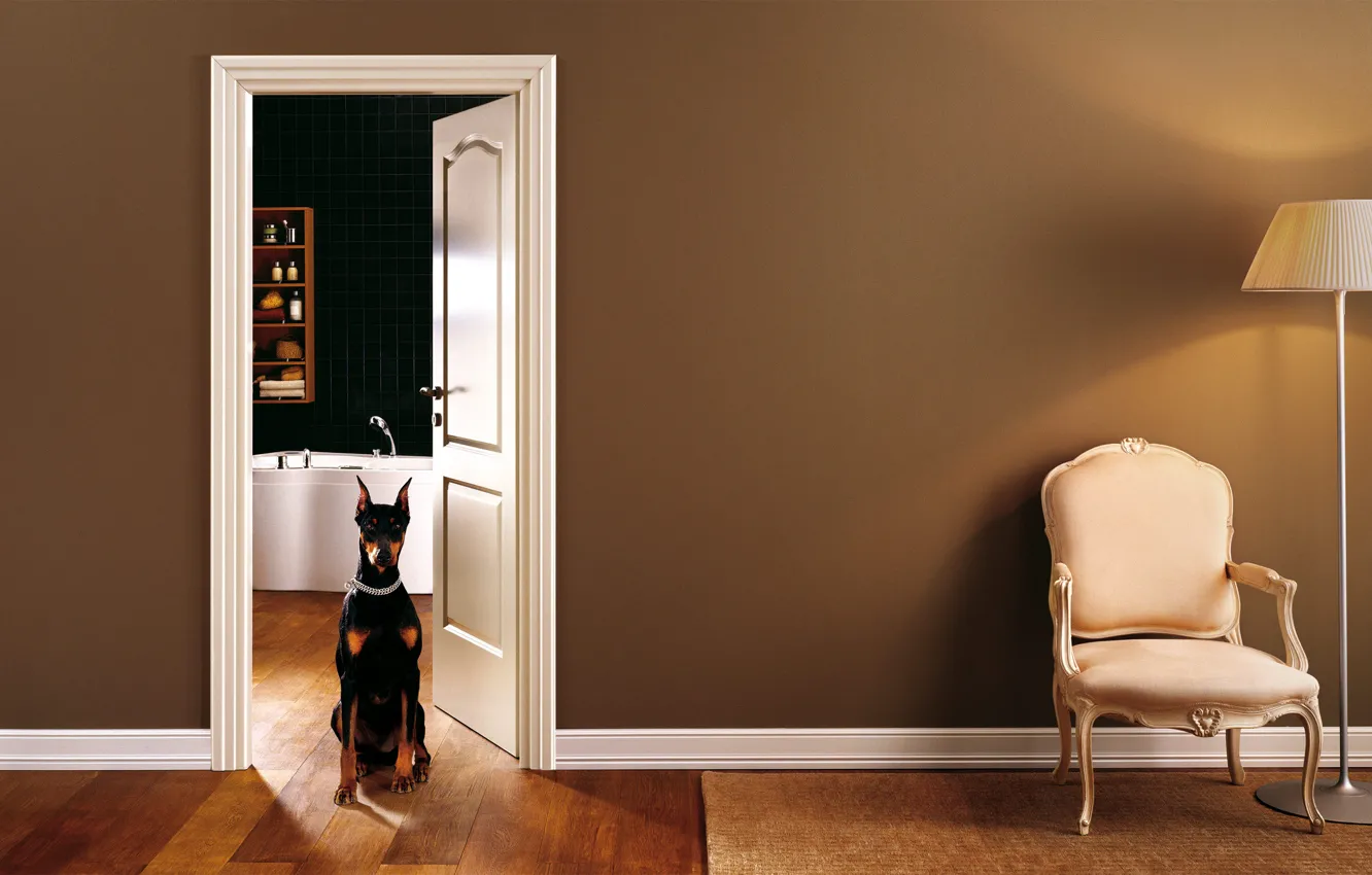 Photo wallpaper interior, chair, bathroom, doggie