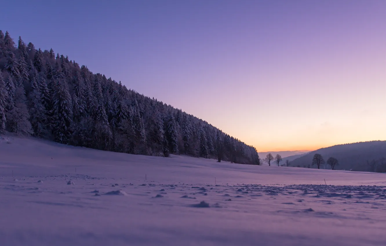 Photo wallpaper winter, forest, snow, trees, Switzerland, Switzerland, La San, The Sagne