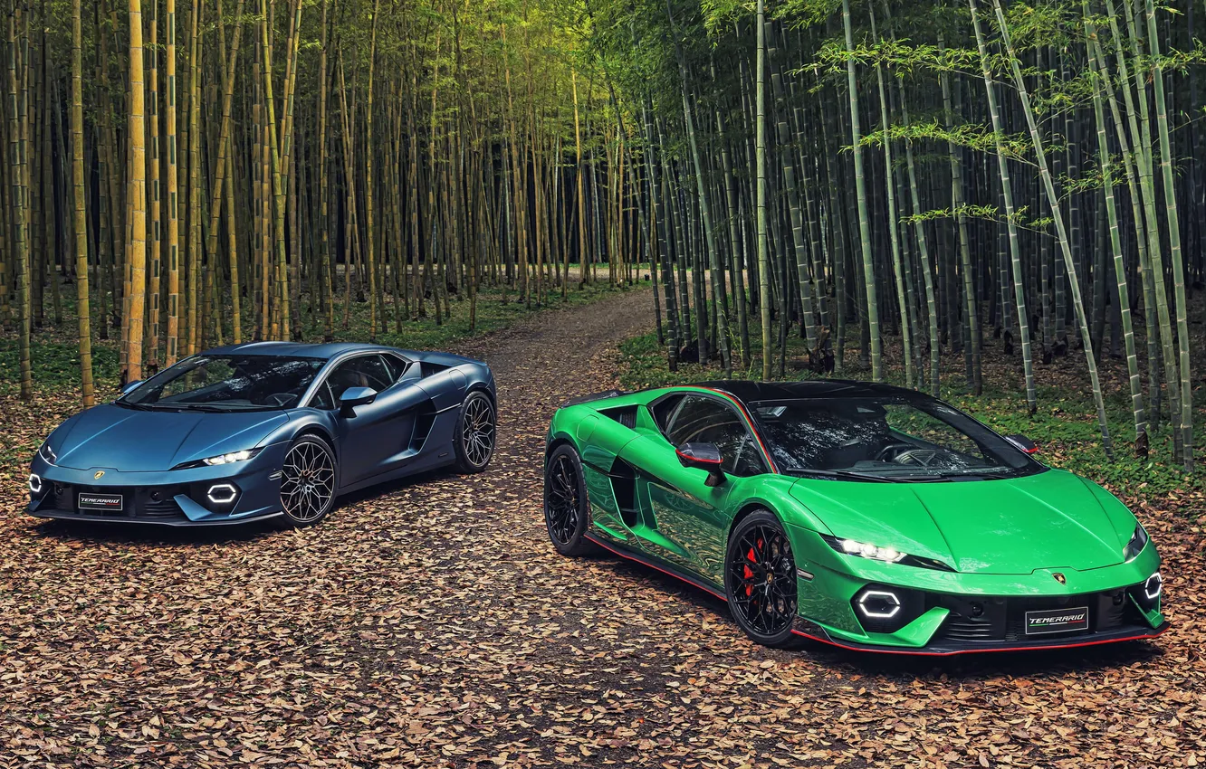 Photo wallpaper Lamborghini, Rash, 2160P