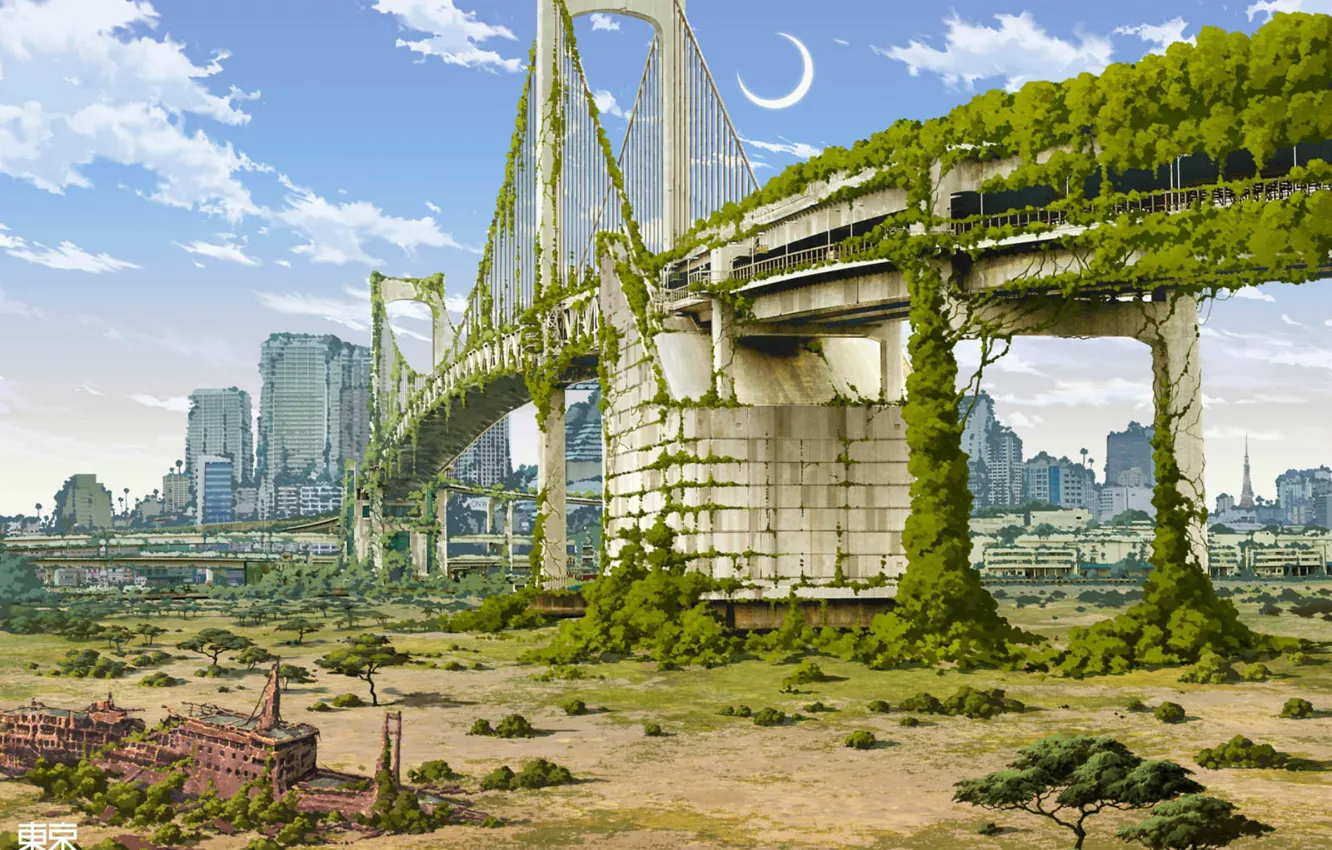 Photo wallpaper road, bridge, the city, thickets, destruction, postapokalipsis, art, Tokyo Ganza