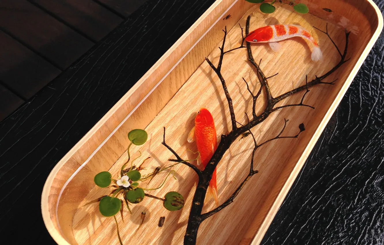Photo wallpaper water, fish, branches, plant, art, gold, capacity