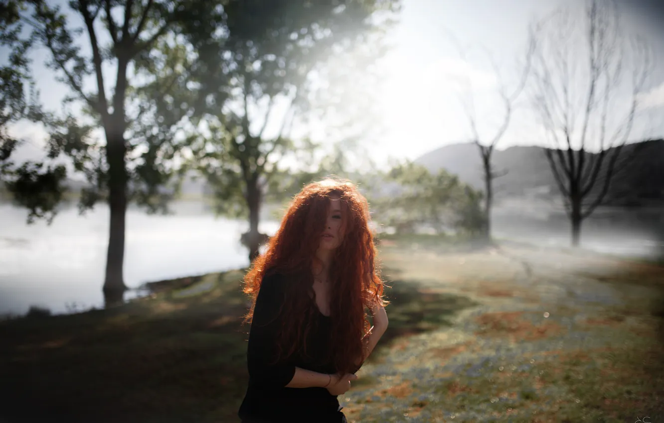 Photo wallpaper girl, hair, red, curls