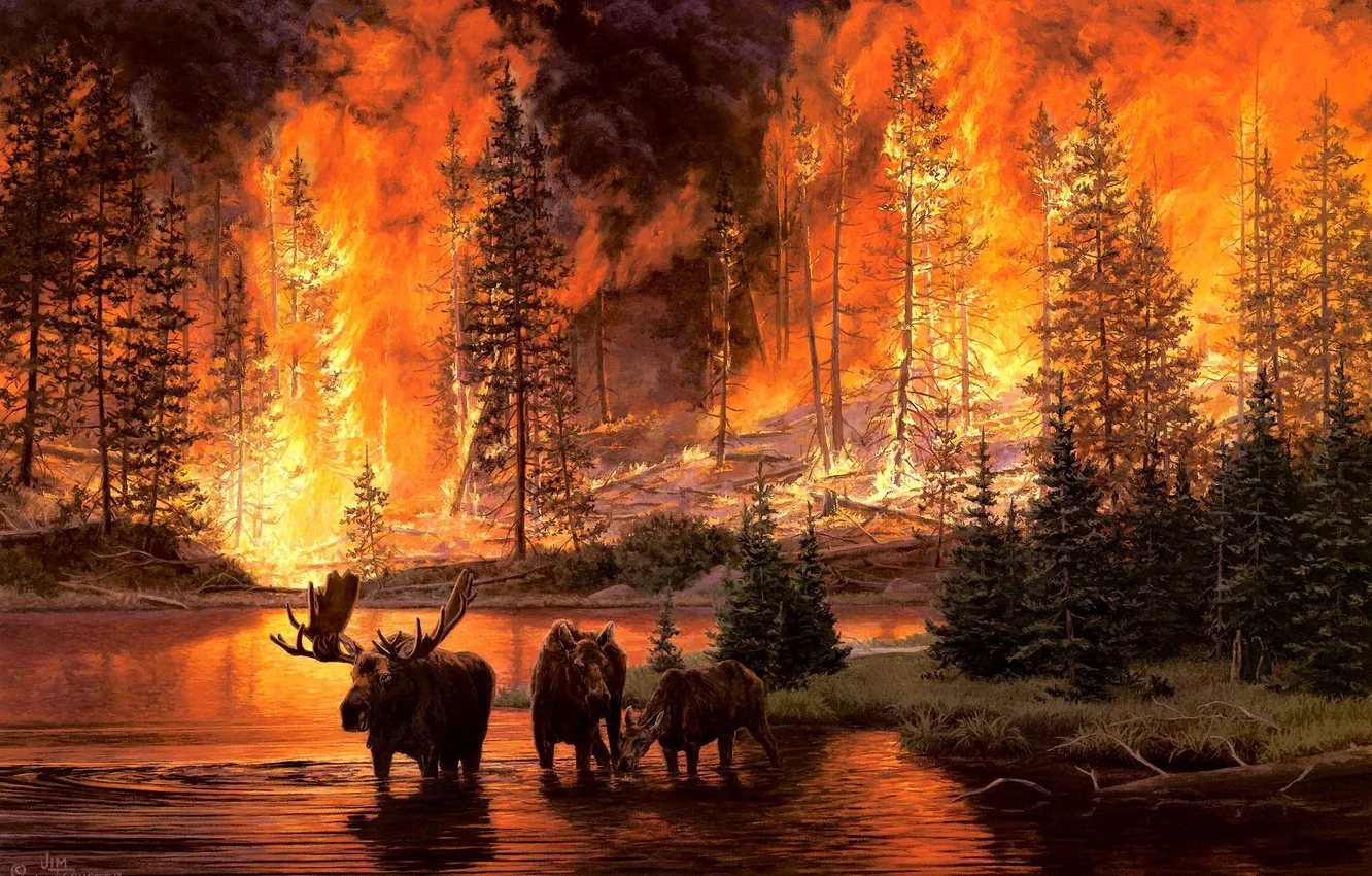 Photo wallpaper forest, river, fire, fire, art, moose, a fire in the woods, Jim Tschetter