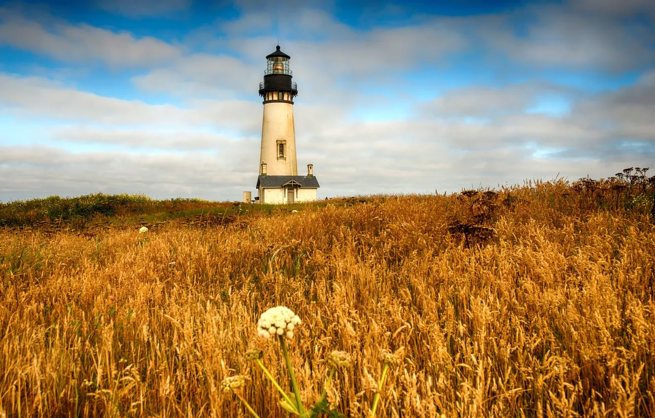 Photo wallpaper the sky, landscape, nature, lighthouse, Newport, Yaquina head light