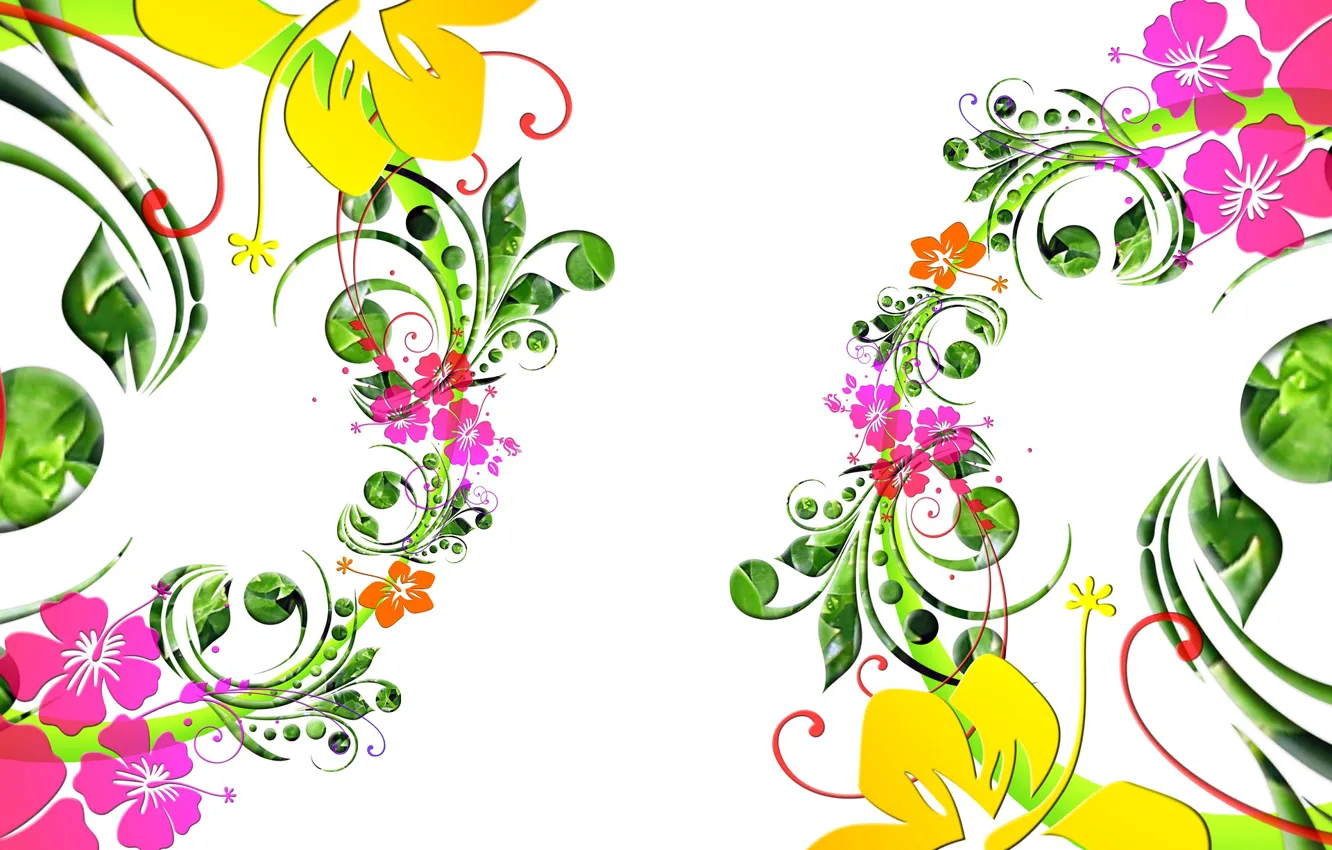 Photo wallpaper flowers, pattern, the volume, symmetry