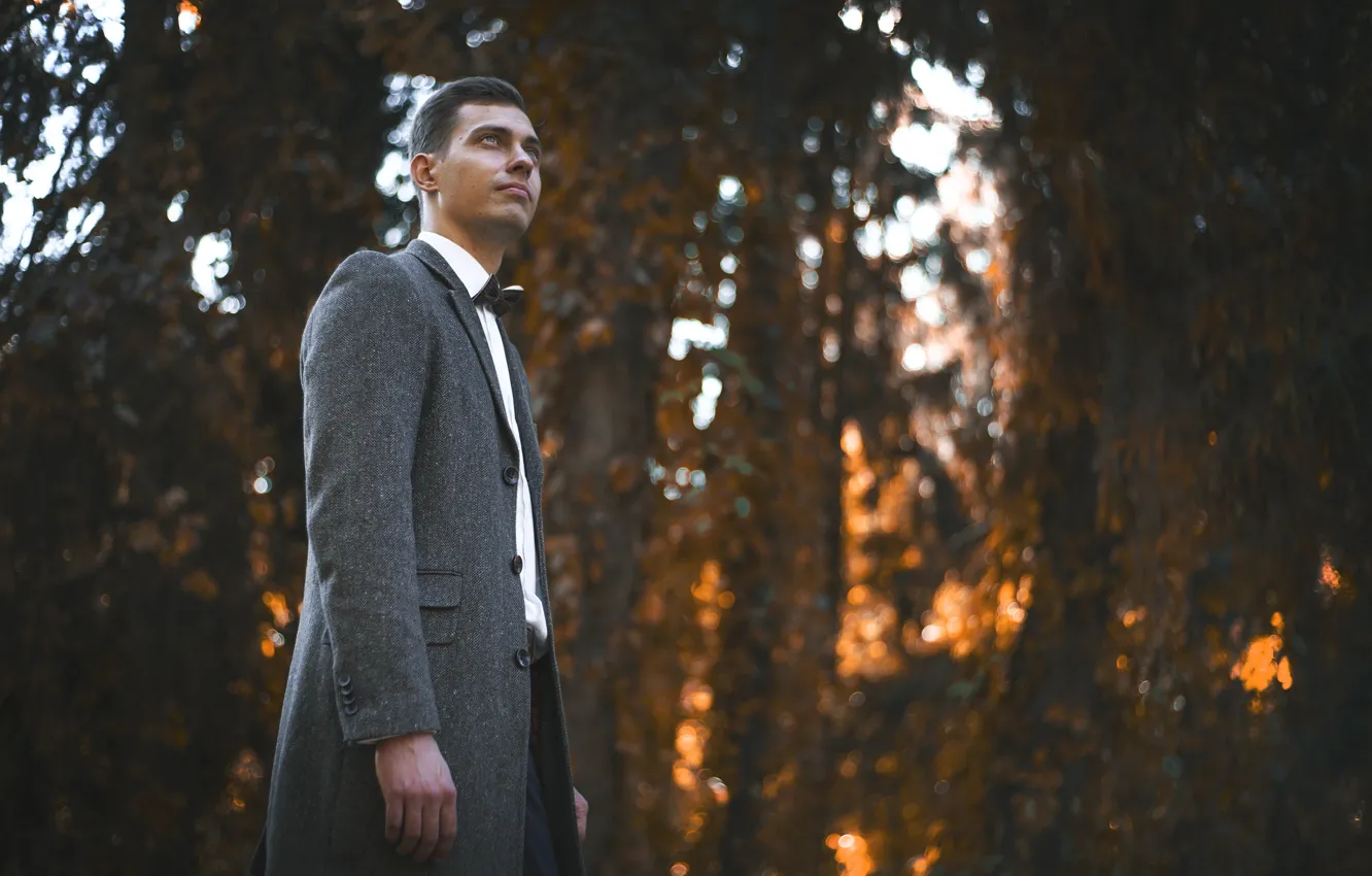 Photo wallpaper forest, sunset, the guy in the suit