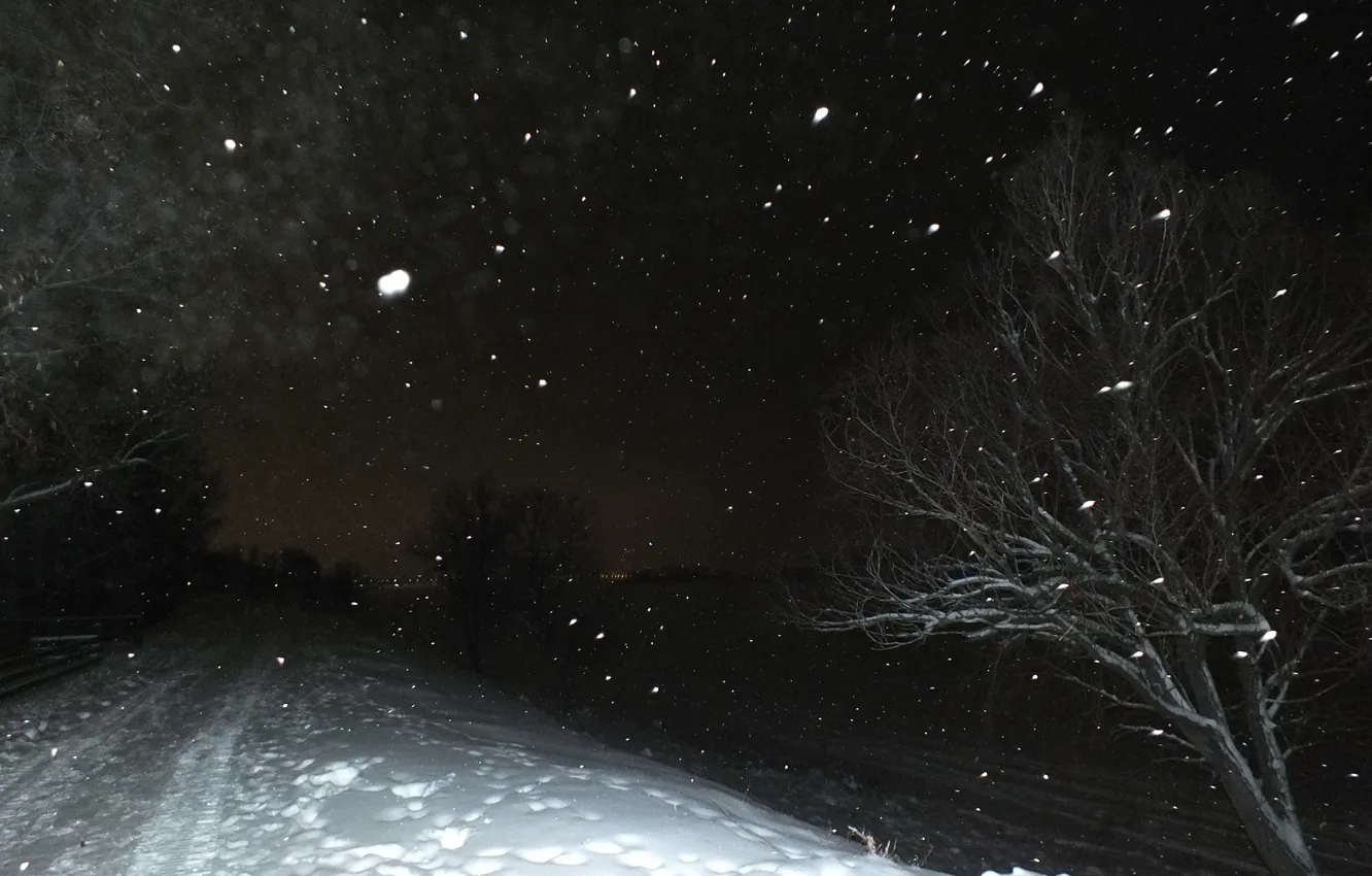 Photo wallpaper road, snow, night, nature, tree, Volga