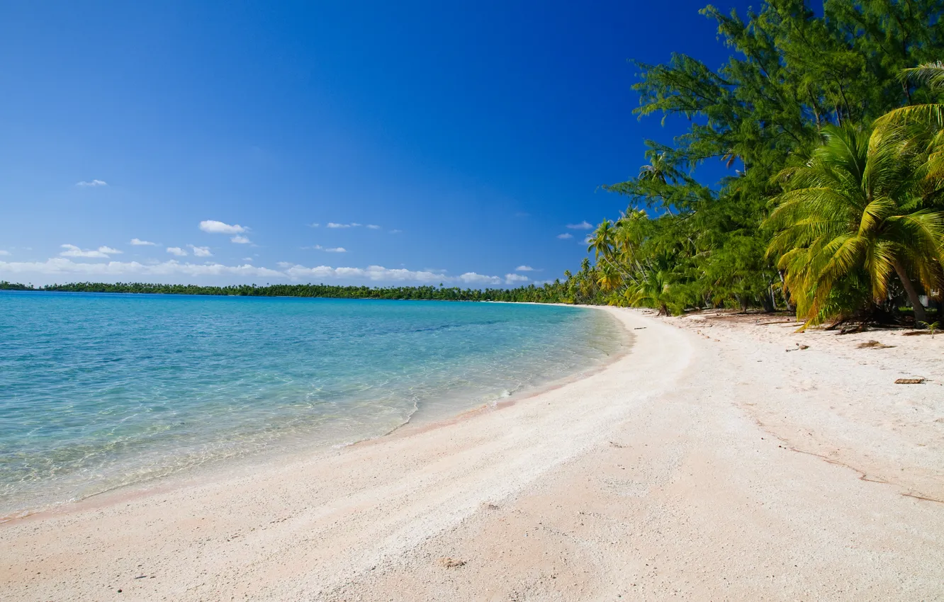 Photo wallpaper sand, wave, beach, the sky, clouds, trees, landscape, nature