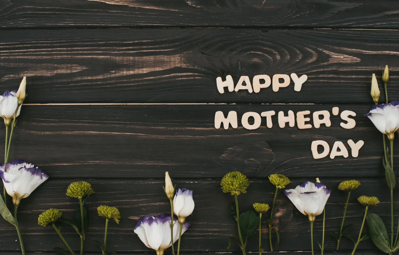 Photo wallpaper flowers, white, wood, flowers, Happy, eustoma, mother's Day, eustoma