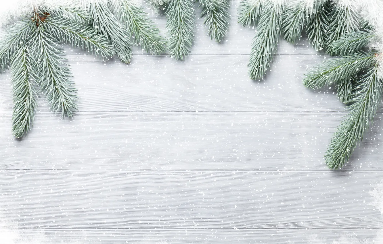 Photo wallpaper winter, snow, background, wood, winter, background, snow, fir tree