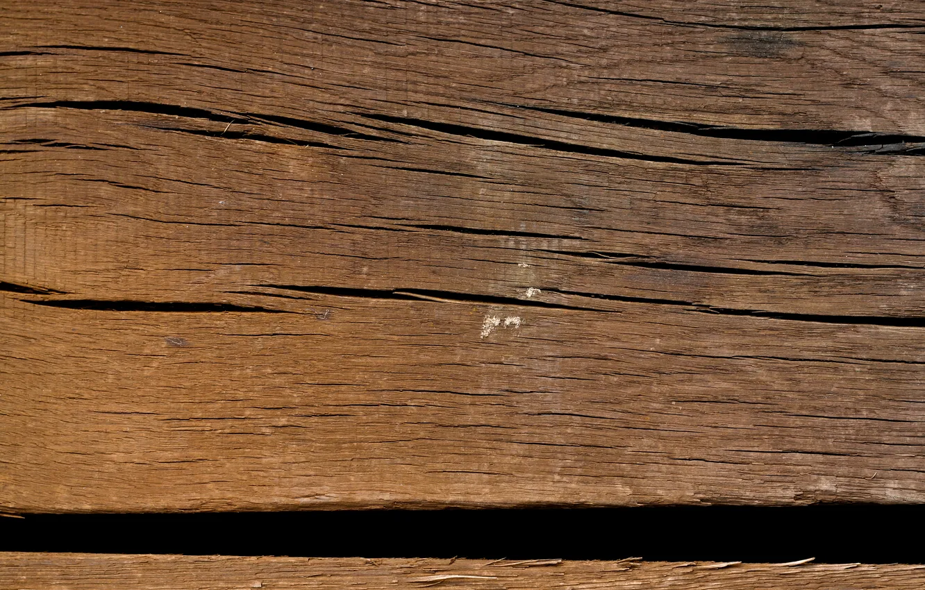 Photo wallpaper wood, pattern, black lines, white spot