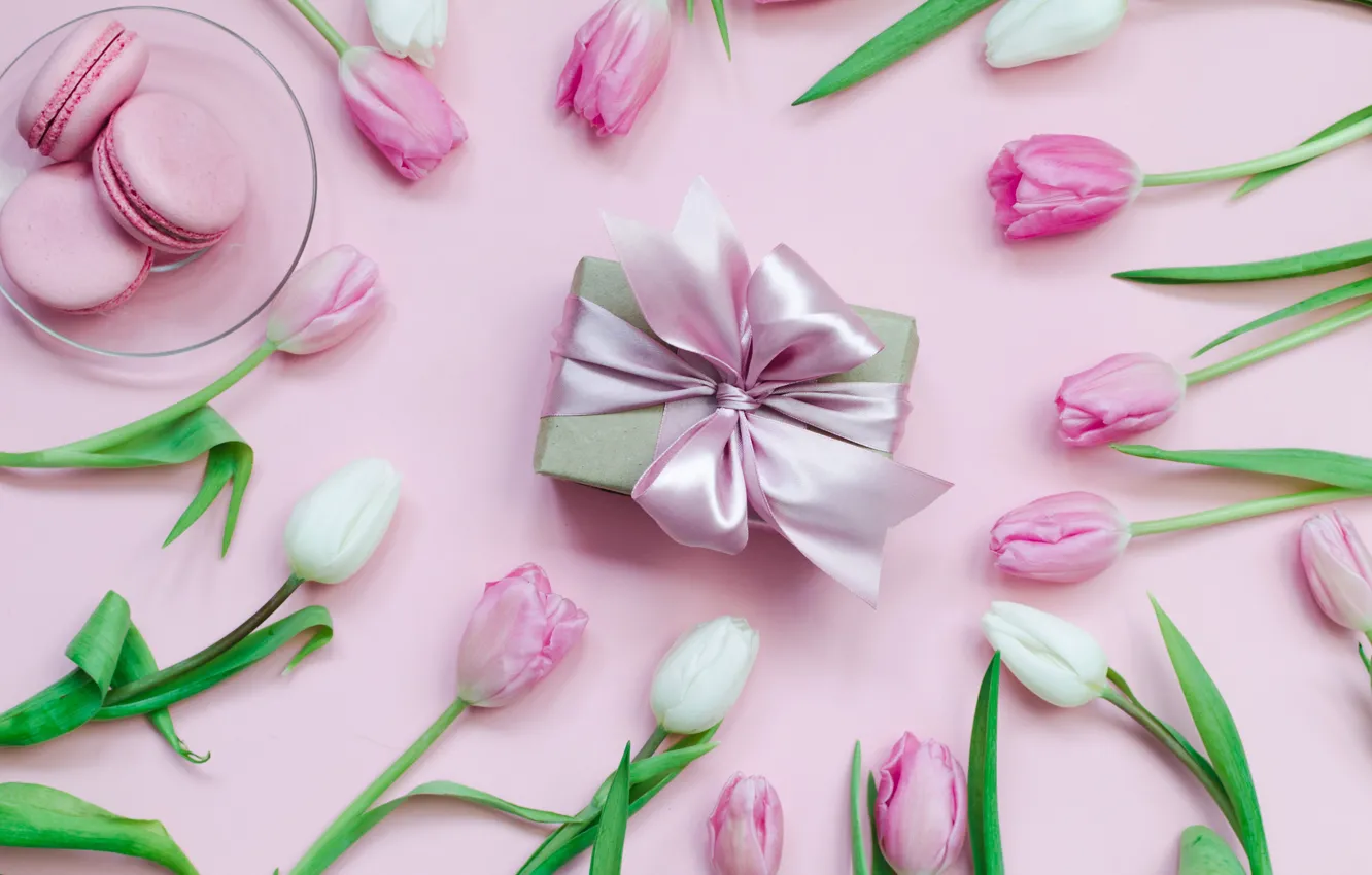 Photo wallpaper gift, tulips, macarons