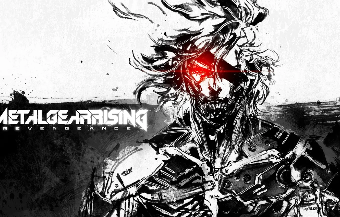 Photo wallpaper Raiden, Metal Gear Rising, 2014, 2015