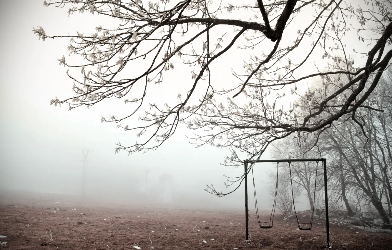Photo wallpaper winter, fog, swing