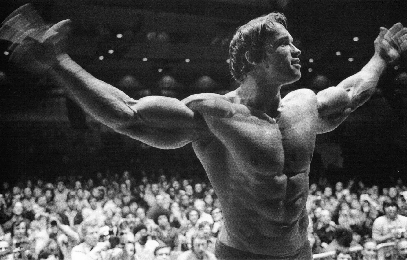 Photo wallpaper man, actor, athlete, Actor, Arnold Schwarzenegger, Producer, Director, Arnold Schwarzenegger