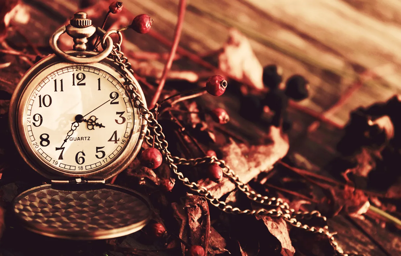 Photo wallpaper autumn, berries, watch, dial, chain, Dry, pocket